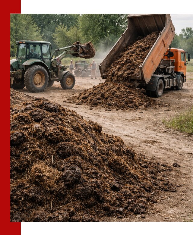 Доставка навоза самосвалами в Переславле-Залесском для сельхозпотребностей